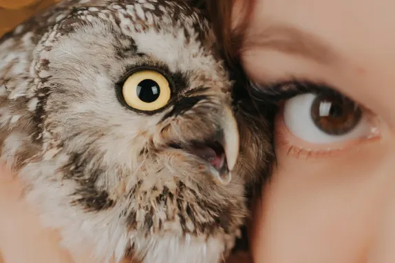 Kaszinó MR Fortune Támogatás